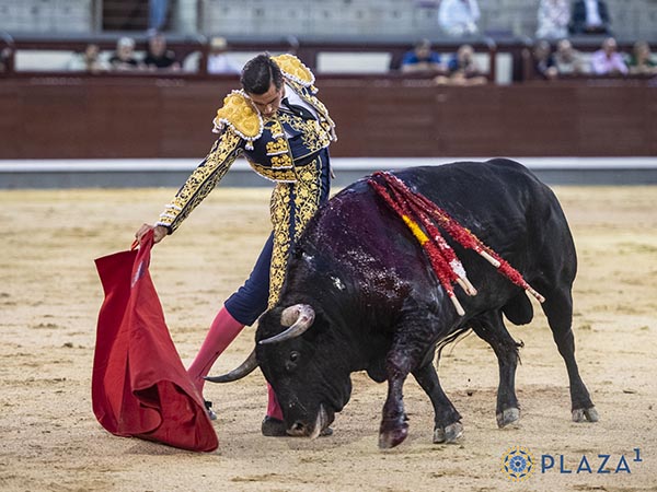 Sin oopciones de triunfo