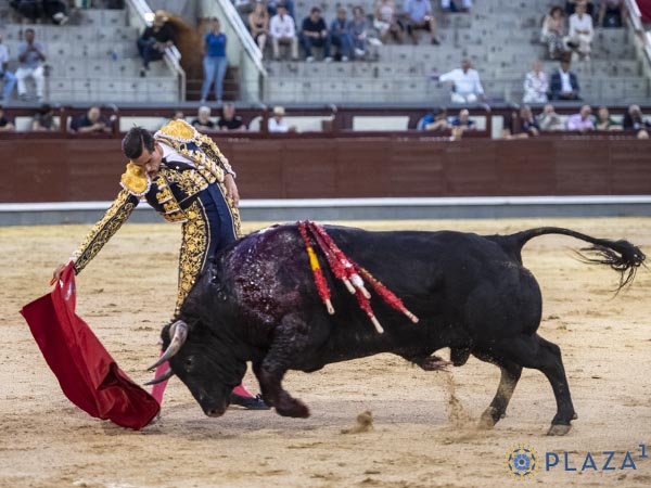 Rozando la tela
