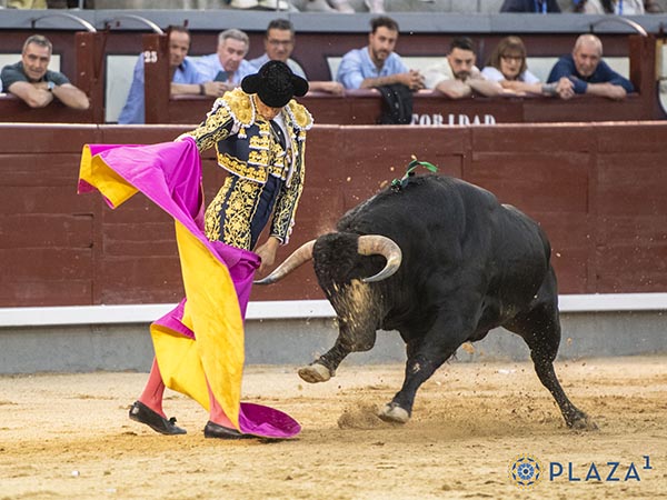 Ver�nicas en el saludo