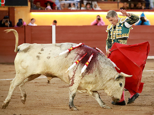 Variado