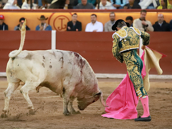 Elegancia