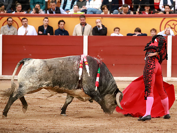 Calidad en la embestida