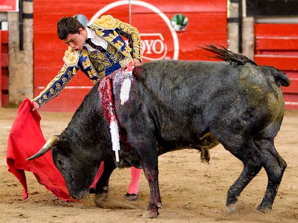 Meti�ndolo en el enga�o