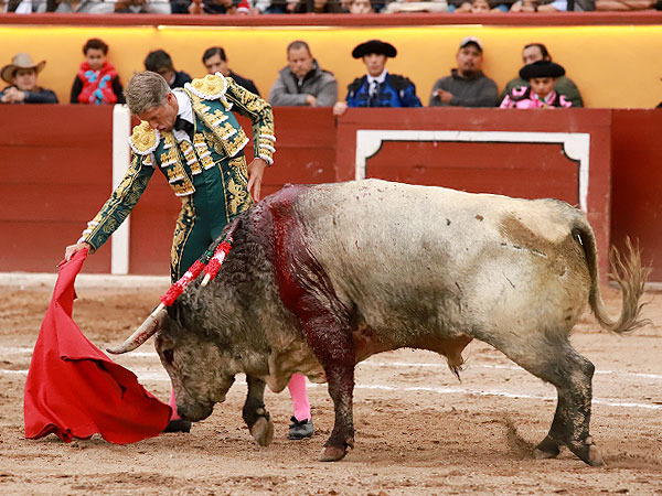 Se�or�o y buen toreo