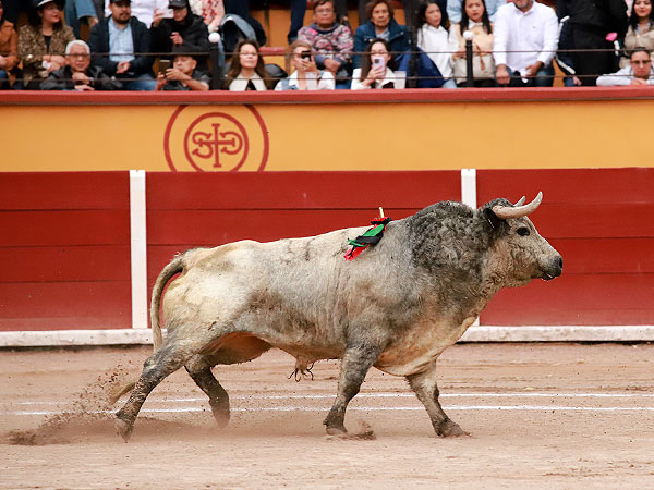 Una Corrida muy esperada