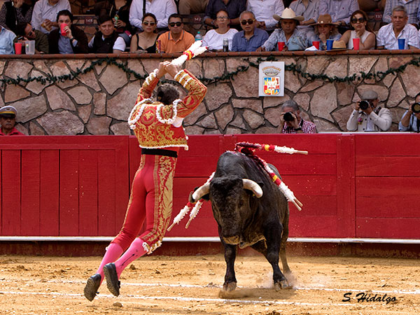 Bien en banderillas