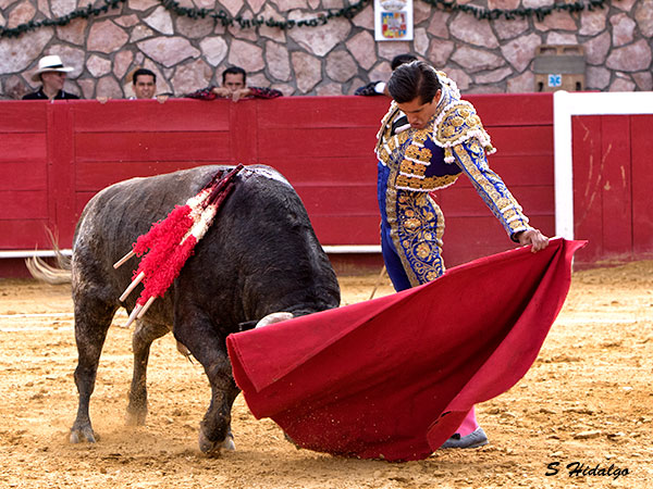 Luis David, falt� redondear