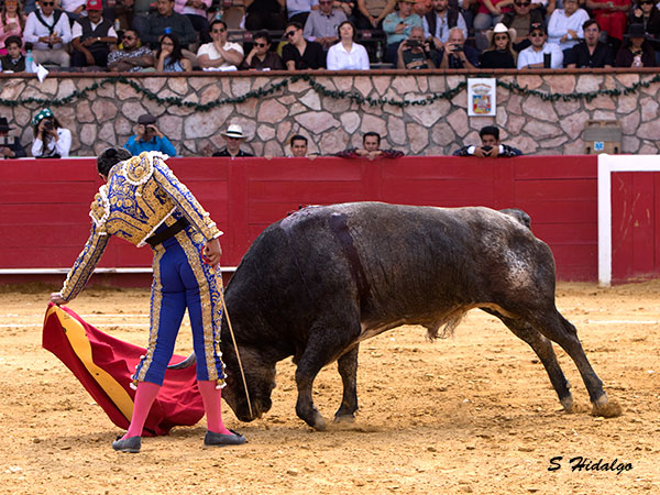 Corriendo la mano