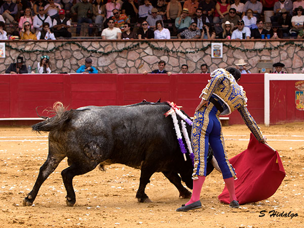 Bajando el enga�o