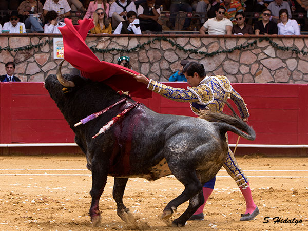 El de pecho
