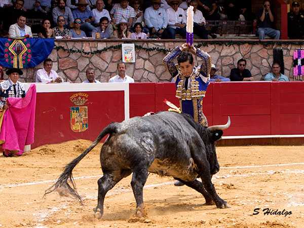 Vistoso par