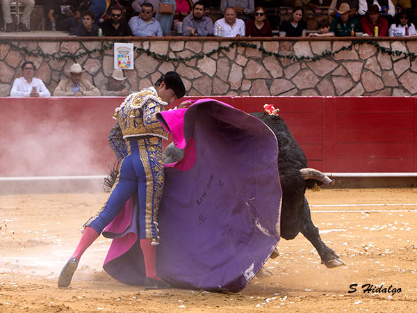 Saudando