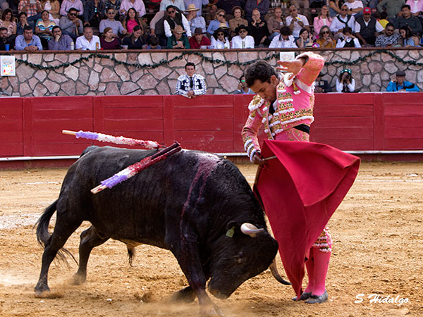 Entregado