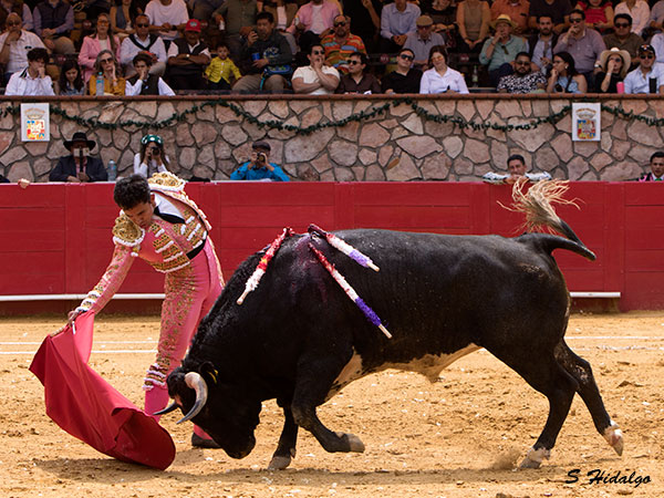 Templando