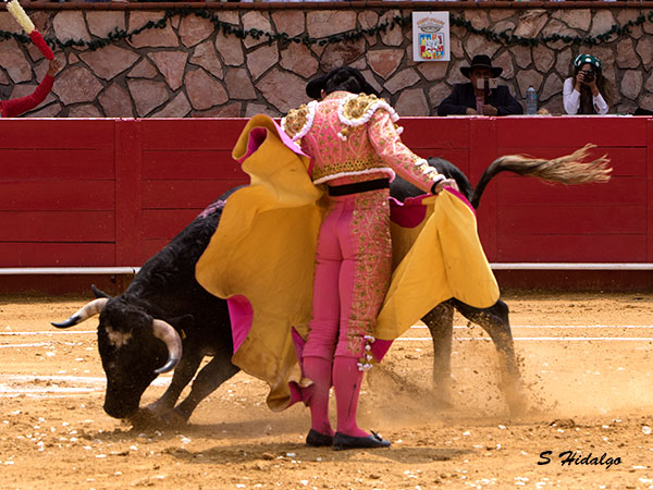 Suavidad