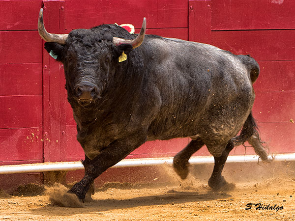 Rancho Seco