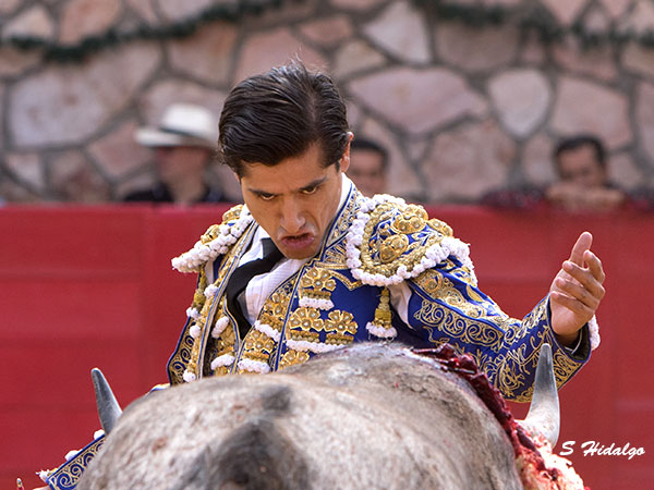 Luis David