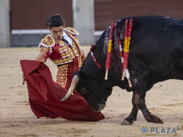 Trasteo de hinojos
