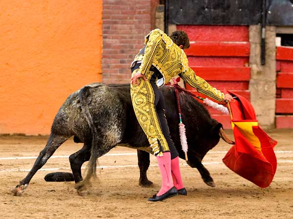 M�xima extensi�n