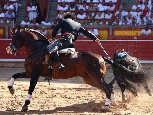 Andy, primer espada