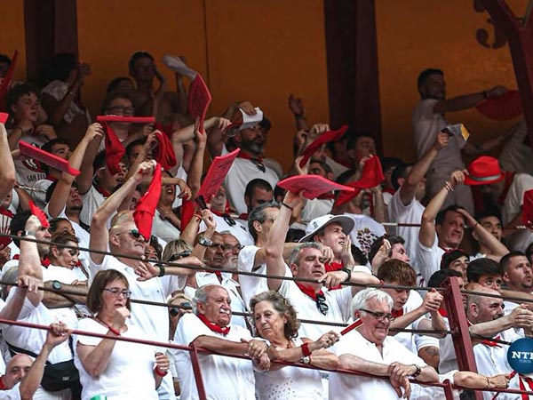 Entusiasmo en los tendidos