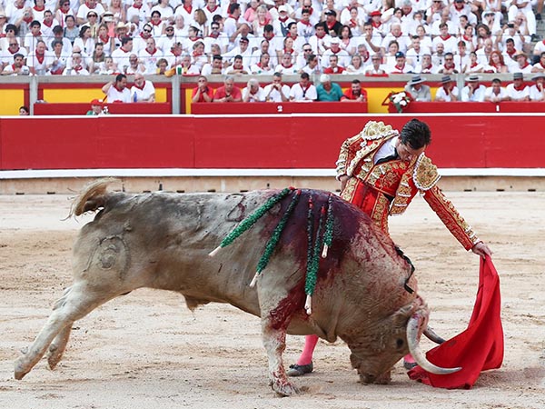 Los belfos en la arena
