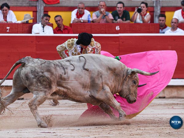 Siguiendo los vuelos