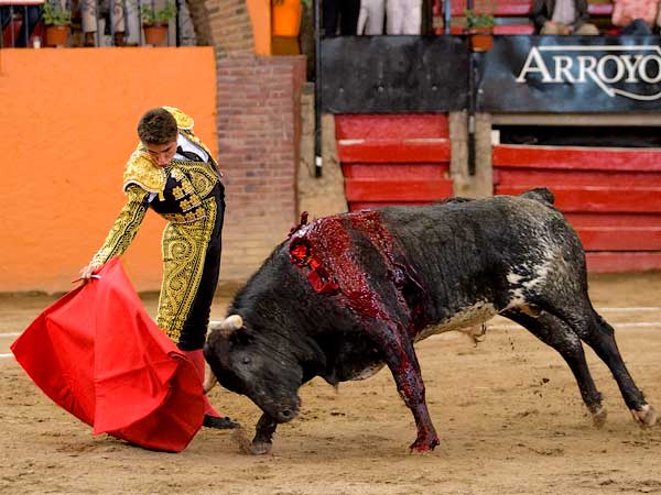 Aguantando la embestida