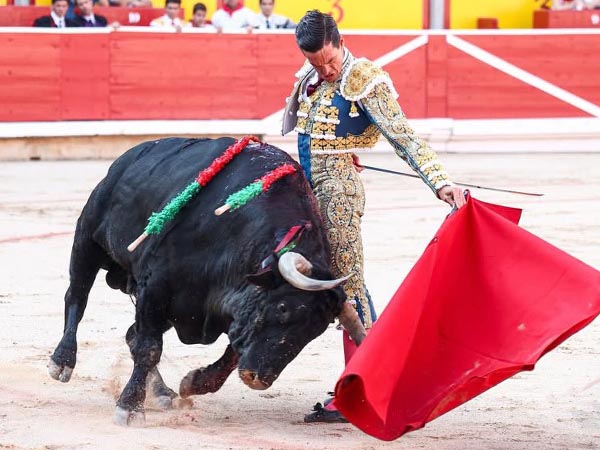 Tirando del negro