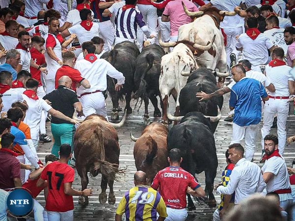 Encierro matinal