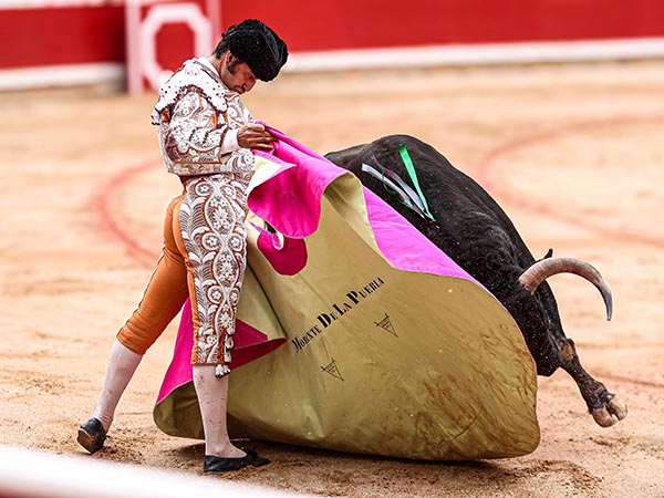 Cuaj� media docena de ver�nicas