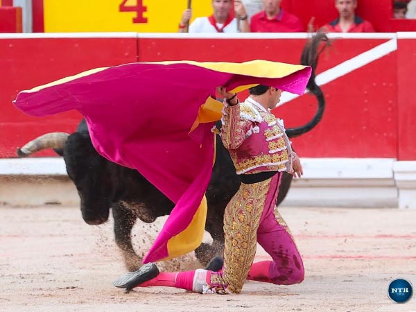 Valiente saludo