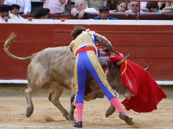 Magn�fica estocada