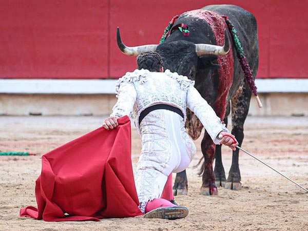 Miradas cruzadas