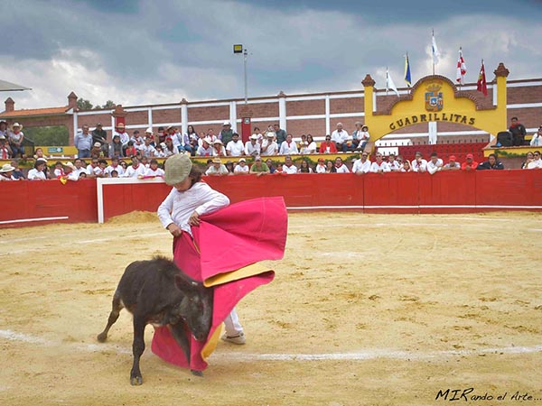 Torerito