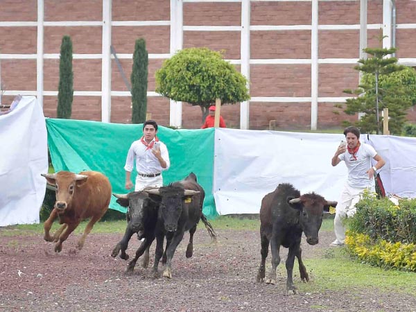 La suelta de a�ojas