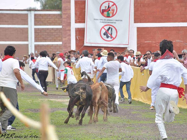 Adrenalina en los corredores