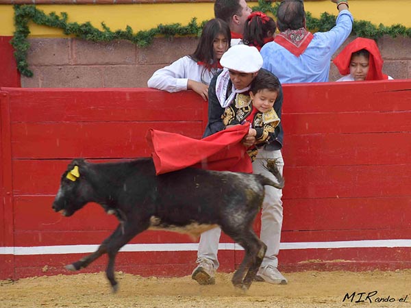 Pase por alto