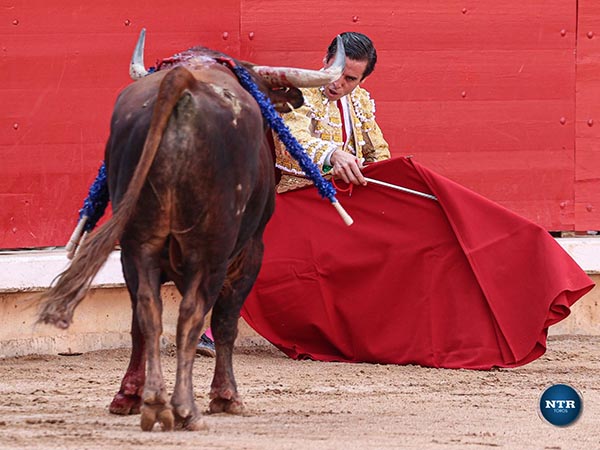Inicio del trasteo