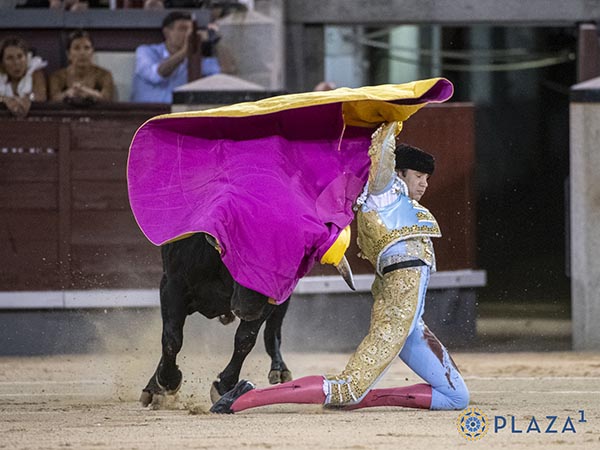 Deseos de triunfo