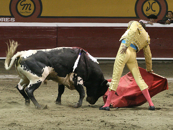 Fernando corriendo la mano