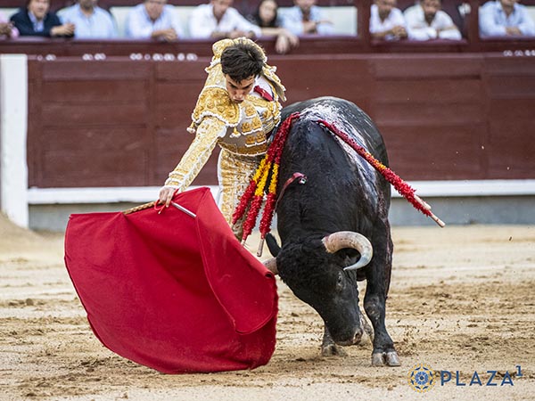 Ce�idos muletazos