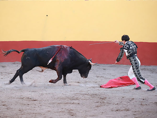 Sin muleta
