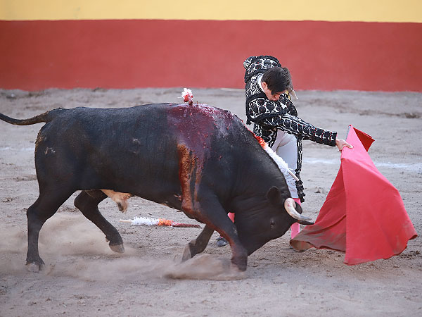 Faena de gran nivel