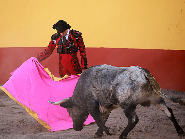 Juan Pablo acariciando la embestida