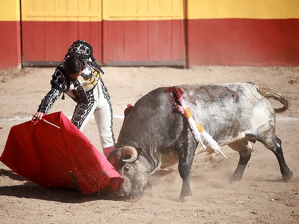 Un torero en plenitud
