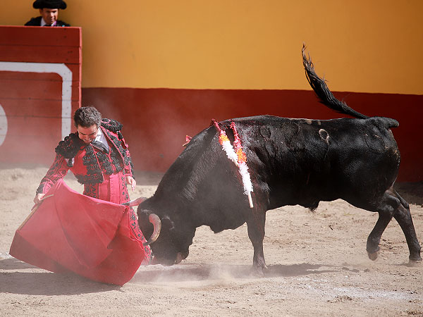 Entregado