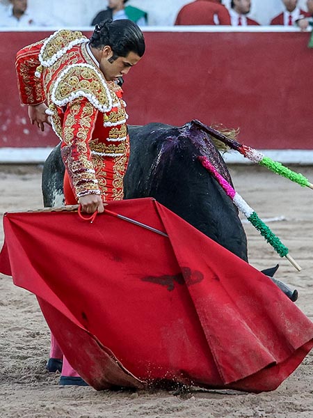 Muletazos en redondo