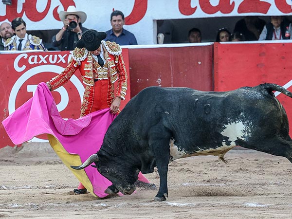 Metiendo la cara con codicia
