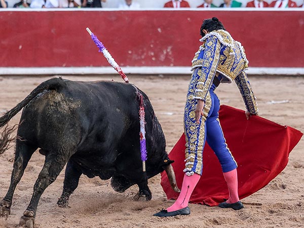 Acompasadas tandas en los medios